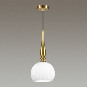 Подвесной светильник Odeon Light Runga 4767/1 в Сысерти - sysert.mebel24.online | фото 4