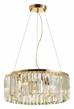 Подвесной светильник Odeon Light Vassa 4987/6 в Сысерти - sysert.mebel24.online | фото 4