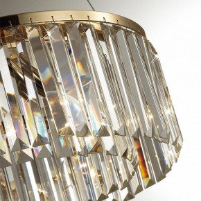 Подвесной светильник Odeon Light Vassa 4987/6 в Сысерти - sysert.mebel24.online | фото 6