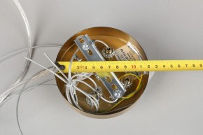 Подвесной светильник Omnilux Cesana OML-67103-08 в Сысерти - sysert.mebel24.online | фото 9