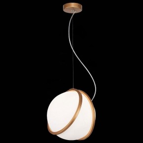 Подвесной светильник ST-Luce Acerra SL1181.353.01 в Сысерти - sysert.mebel24.online | фото 4