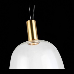 Подвесной светильник ST-Luce Allenore SL1582.313.01 в Сысерти - sysert.mebel24.online | фото 9