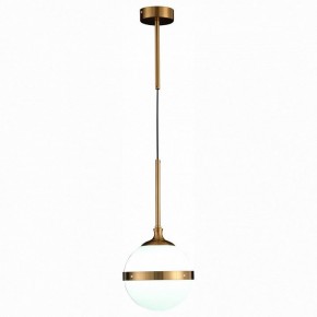 Подвесной светильник ST-Luce Arbe SL1157.303.01 в Сысерти - sysert.mebel24.online | фото 3