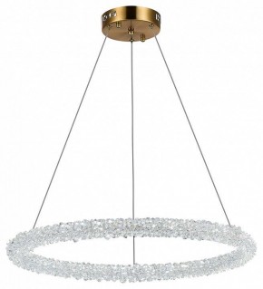 Подвесной светильник ST-Luce Avana SL6110.213.01 в Сысерти - sysert.mebel24.online | фото 5