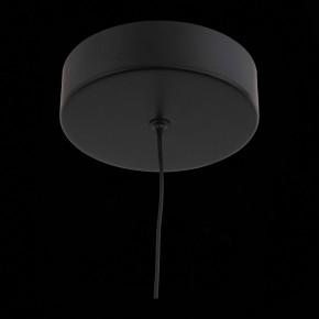 Подвесной светильник ST-Luce Bisaria SL393.403.01 в Сысерти - sysert.mebel24.online | фото 8