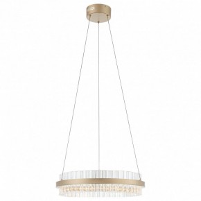 Подвесной светильник ST-Luce Cherio SL383.203.01 в Сысерти - sysert.mebel24.online | фото 3