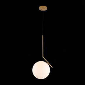 Подвесной светильник ST-Luce Codda SL1148.303.01 в Сысерти - sysert.mebel24.online | фото 5
