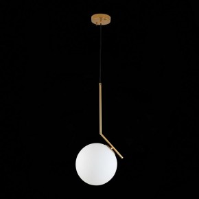 Подвесной светильник ST-Luce Codda SL1148.303.01 в Сысерти - sysert.mebel24.online | фото 6