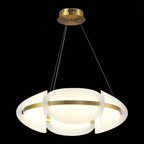 Подвесной светильник ST-Luce Etoile SL1304.203.45 в Сысерти - sysert.mebel24.online | фото 4