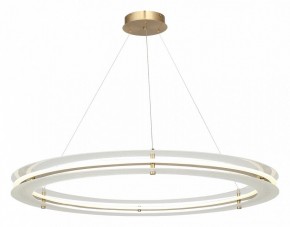 Подвесной светильник ST-Luce FAGY SL6245.213.01 в Сысерти - sysert.mebel24.online | фото 4