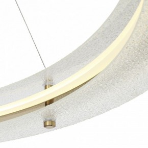 Подвесной светильник ST-Luce FAGY SL6245.213.01 в Сысерти - sysert.mebel24.online | фото 6