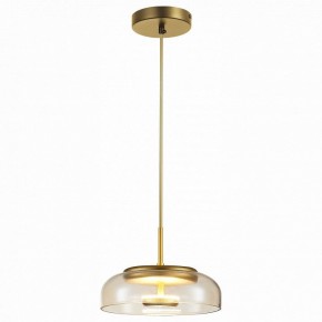 Подвесной светильник ST-Luce Lacio SL6002.203.01 в Сысерти - sysert.mebel24.online | фото