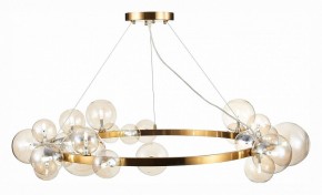 Подвесной светильник ST-Luce Nection SL1165.303.24 в Сысерти - sysert.mebel24.online | фото 4