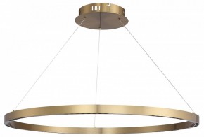 Подвесной светильник ST-Luce PARILLA SL6238.343.01 в Сысерти - sysert.mebel24.online | фото 3