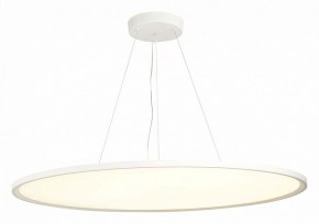 Подвесной светильник ST-Luce ST602 ST602.543.120 в Сысерти - sysert.mebel24.online | фото 3