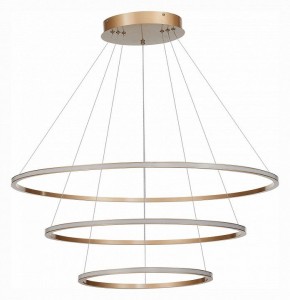 Подвесной светильник ST-Luce ST604 OUT ST604.243.114 в Сысерти - sysert.mebel24.online | фото 2
