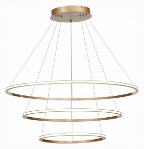 Подвесной светильник ST-Luce ST604 OUT ST604.243.114 в Сысерти - sysert.mebel24.online | фото 3