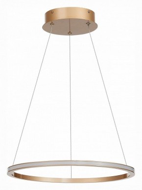 Подвесной светильник ST-Luce ST604 OUT ST604.243.22 в Сысерти - sysert.mebel24.online | фото 2
