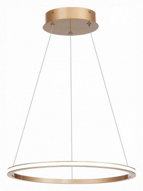 Подвесной светильник ST-Luce ST604 OUT ST604.243.22 в Сысерти - sysert.mebel24.online | фото 3