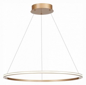 Подвесной светильник ST-Luce ST604 OUT ST604.243.34 в Сысерти - sysert.mebel24.online | фото 3