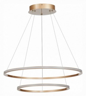 Подвесной светильник ST-Luce ST604 OUT ST604.243.56 в Сысерти - sysert.mebel24.online | фото 2