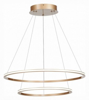 Подвесной светильник ST-Luce ST604 OUT ST604.243.56 в Сысерти - sysert.mebel24.online | фото 3