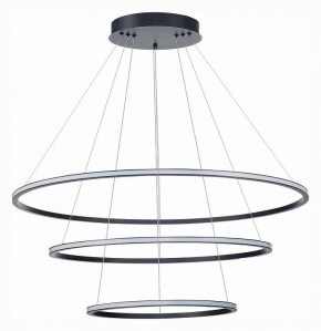 Подвесной светильник ST-Luce ST604 OUT ST604.443.114 в Сысерти - sysert.mebel24.online | фото 2