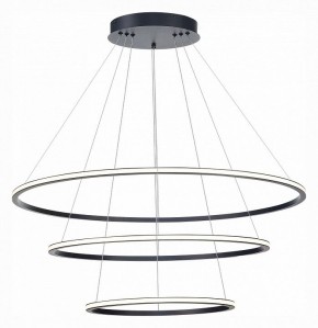 Подвесной светильник ST-Luce ST604 OUT ST604.443.114 в Сысерти - sysert.mebel24.online | фото 3