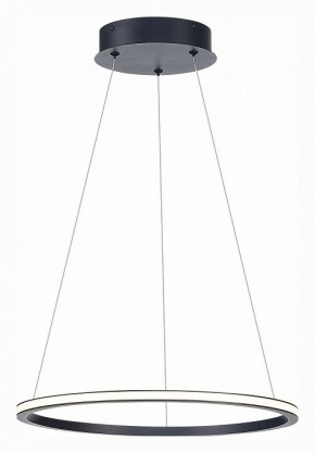 Подвесной светильник ST-Luce ST604 OUT ST604.443.22 в Сысерти - sysert.mebel24.online | фото 3