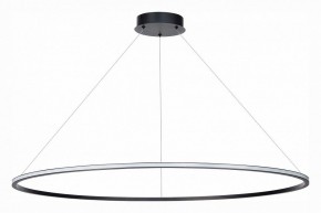 Подвесной светильник ST-Luce ST604 OUT ST604.443.46 в Сысерти - sysert.mebel24.online | фото 2