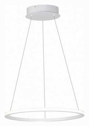 Подвесной светильник ST-Luce ST604 OUT ST604.543.22 в Сысерти - sysert.mebel24.online | фото 3