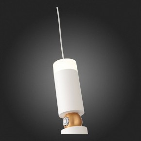 Подвесной светильник ST-Luce Tuore SL1592.503.01 в Сысерти - sysert.mebel24.online | фото 5