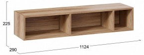 Полка навесная ТД-102.28 в Сысерти - sysert.mebel24.online | фото 9