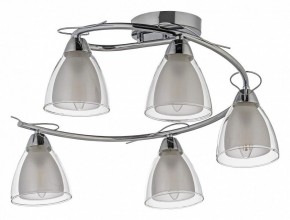 Потолочная люстра Arti Lampadari Paola, Tavenna Nickel Paola E 1.1.5 N в Сысерти - sysert.mebel24.online | фото