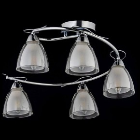 Потолочная люстра Arti Lampadari Paola, Tavenna Nickel Paola E 1.1.5 N в Сысерти - sysert.mebel24.online | фото 2