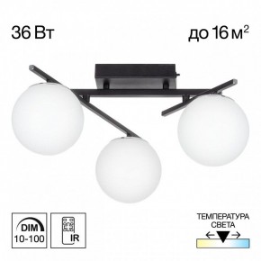 Потолочная люстра Citilux Dorsy CL223132 в Сысерти - sysert.mebel24.online | фото 10
