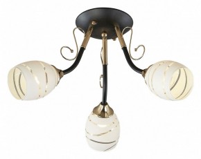 Потолочная люстра Escada Camila 1112/3P в Сысерти - sysert.mebel24.online | фото 1