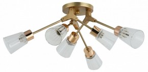 Потолочная люстра Escada Felicia 1137/6P в Сысерти - sysert.mebel24.online | фото