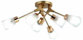 Потолочная люстра Escada Felicia 1137/6P в Сысерти - sysert.mebel24.online | фото 2