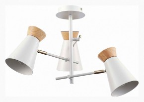 Потолочная люстра EVOLUCE Alfeo SLE1252-502-03 в Сысерти - sysert.mebel24.online | фото 2