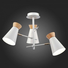 Потолочная люстра EVOLUCE Alfeo SLE1252-502-03 в Сысерти - sysert.mebel24.online | фото 3
