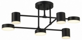 Потолочная люстра EVOLUCE Nobel SLE201042-06 в Сысерти - sysert.mebel24.online | фото 10