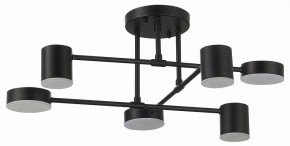 Потолочная люстра EVOLUCE Nobel SLE201042-06 в Сысерти - sysert.mebel24.online | фото 11