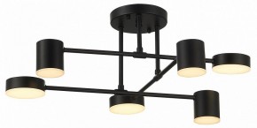 Потолочная люстра EVOLUCE Nobel SLE201042-06 в Сысерти - sysert.mebel24.online | фото 12
