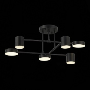 Потолочная люстра EVOLUCE Nobel SLE201042-06 в Сысерти - sysert.mebel24.online | фото 13