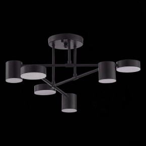 Потолочная люстра EVOLUCE Nobel SLE201042-06 в Сысерти - sysert.mebel24.online | фото 2