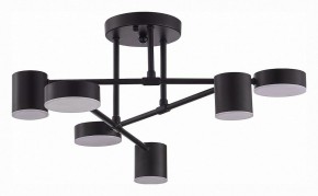 Потолочная люстра EVOLUCE Nobel SLE201042-06 в Сысерти - sysert.mebel24.online | фото 3