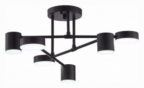 Потолочная люстра EVOLUCE Nobel SLE201042-06 в Сысерти - sysert.mebel24.online | фото 5
