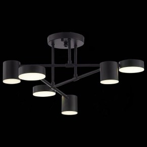 Потолочная люстра EVOLUCE Nobel SLE201042-06 в Сысерти - sysert.mebel24.online | фото 6