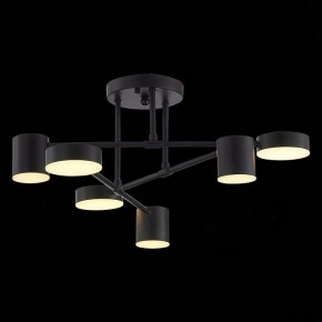 Потолочная люстра EVOLUCE Nobel SLE201042-06 в Сысерти - sysert.mebel24.online | фото 7